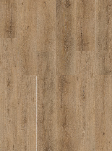 LVT19330001