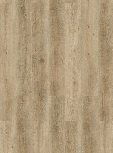 LVT19220004