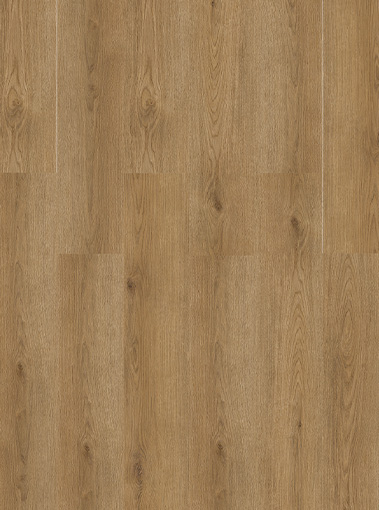 LVT19220001