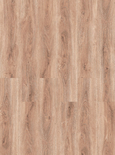 LVT19350001