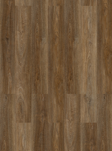 LVT19220009