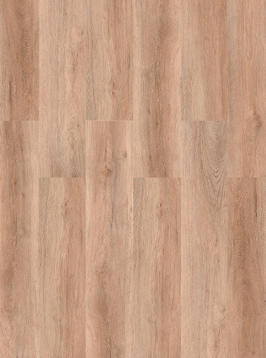LVT19330002