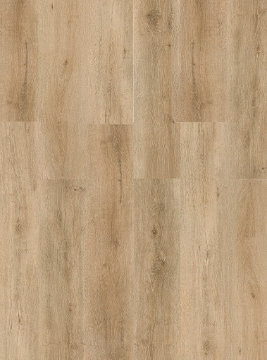LVT19220004