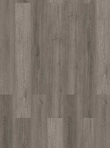 LVT19350004