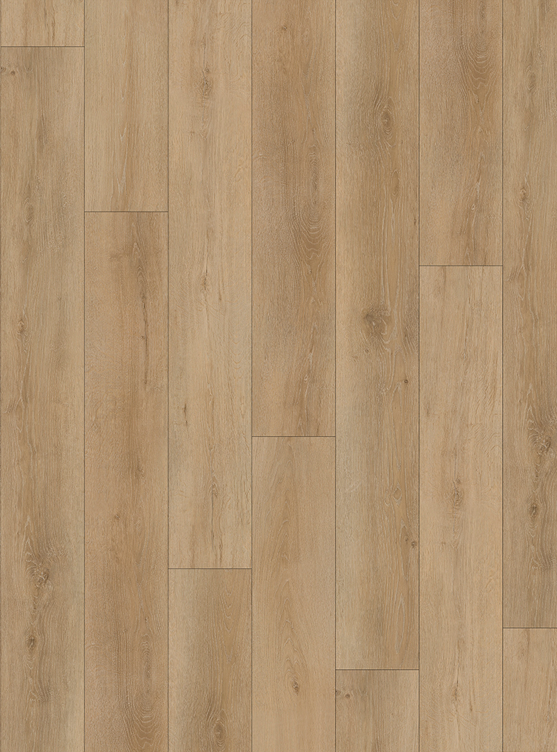 LVT1720004