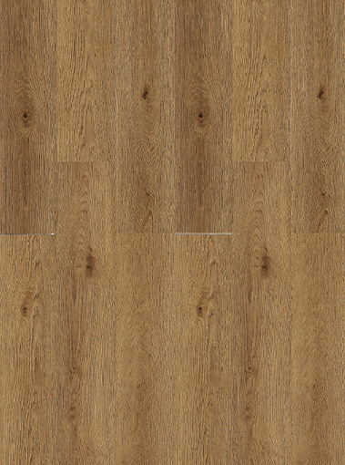LVT19220003