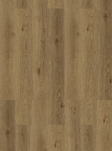 LVT19220003