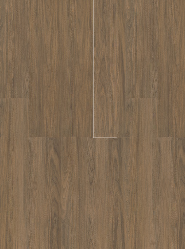 LVT19220006