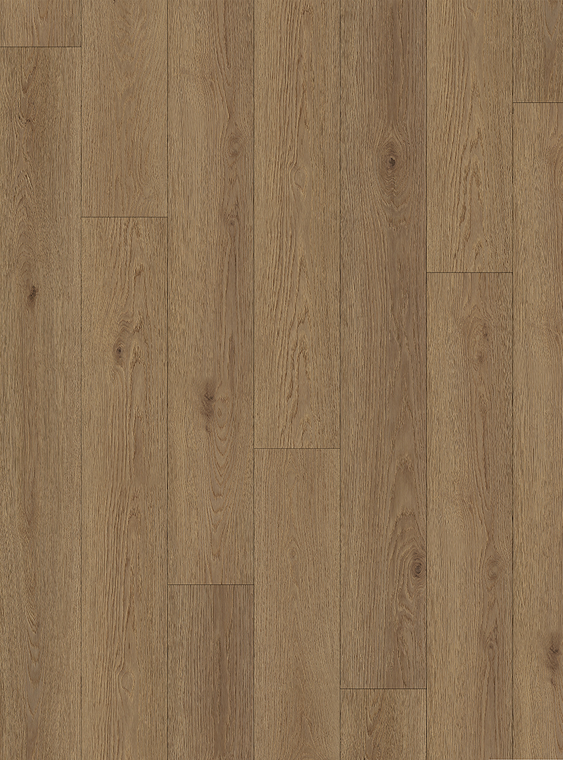 LVT19220003