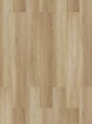 LVT19220008