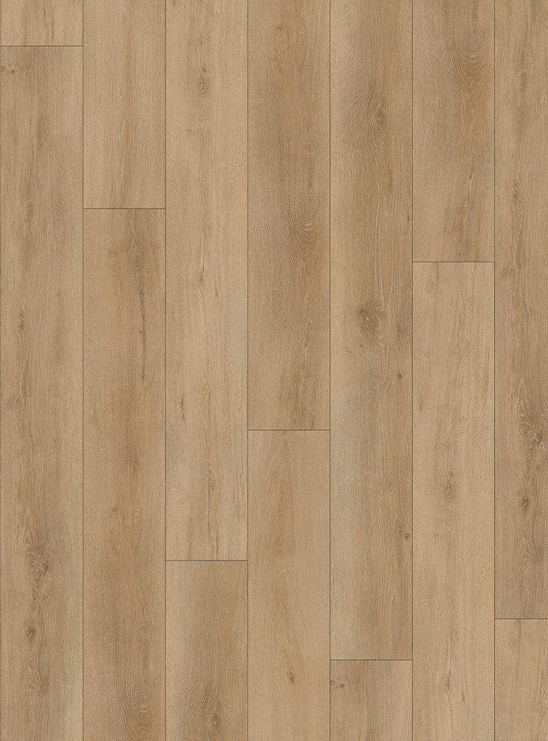 LVT19220004