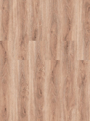 LVT19350001