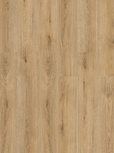 LVT19220002